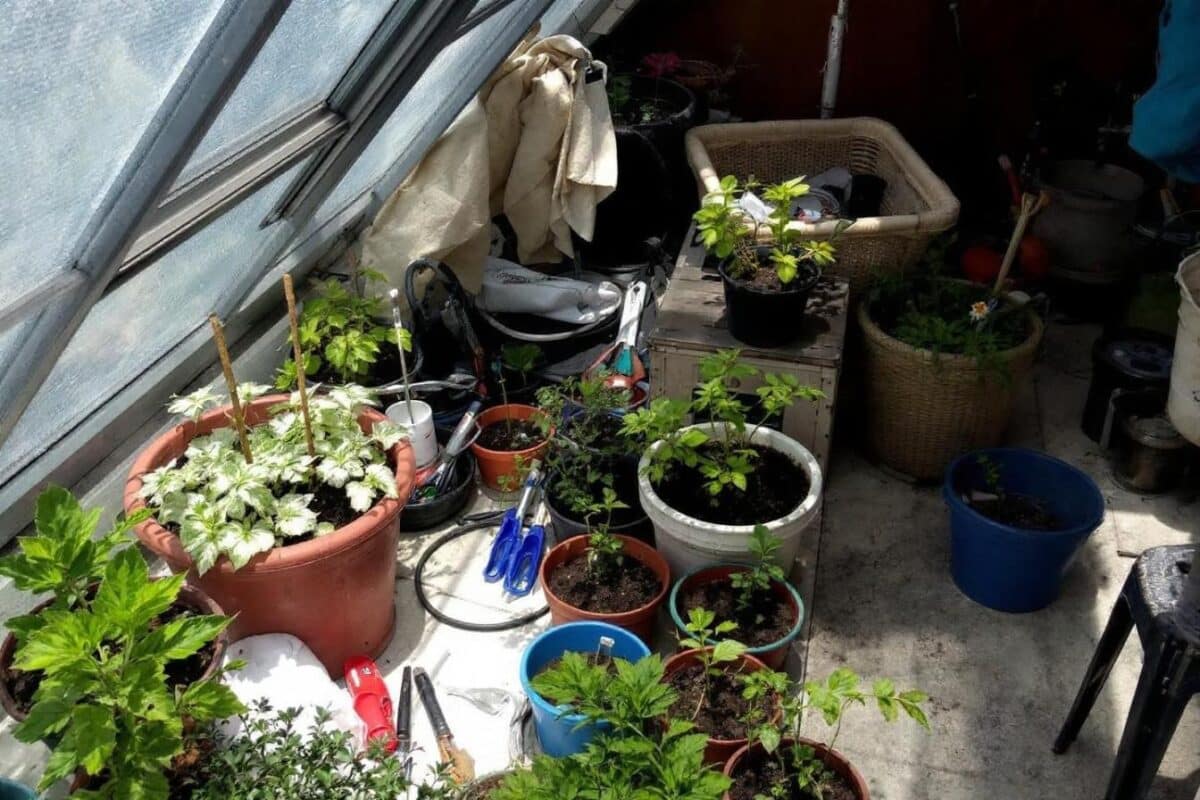 As vantagens de uma pequena estufa na sua varanda