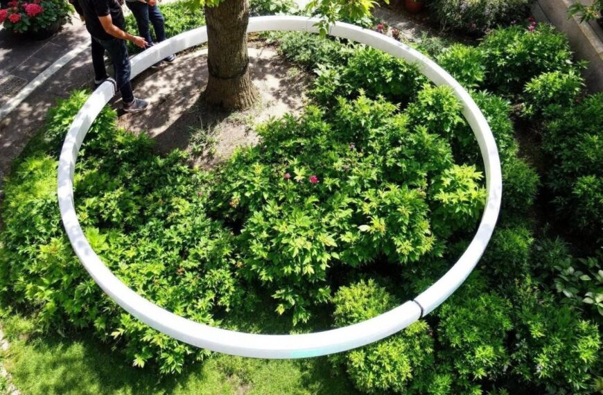 Baumbad, la innovación de un sistema de riego en anillo para cuidar de tus árboles durante las épocas de calor extremo