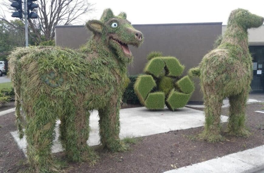 ¿Cómo valorizar el césped cortado? 3 ideas prácticas para un reciclaje ecológico