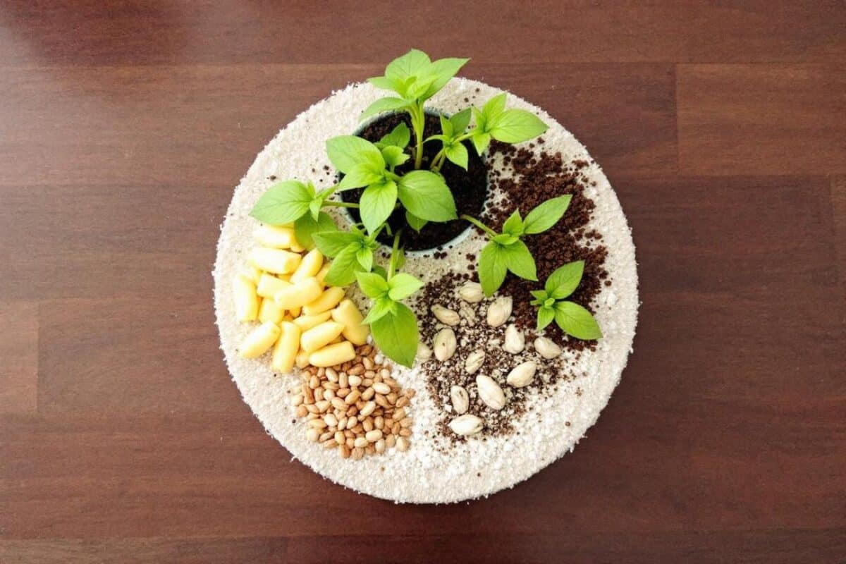 Descubra 10 formas sorprendentes de usar el bicarbonato de sodio para embellecer su jardín y su hogar