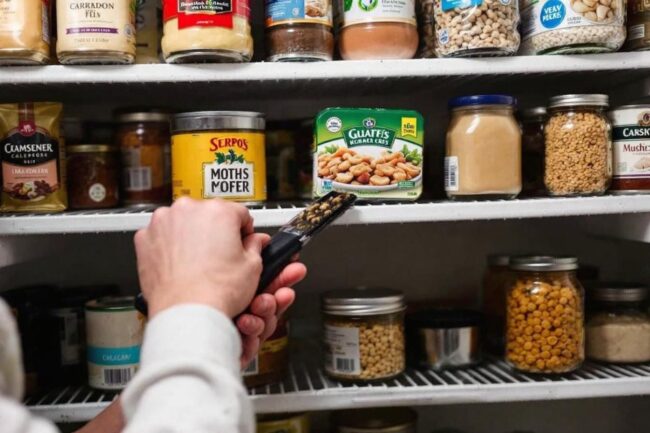 descubra como eliminar completamente as traças alimentares