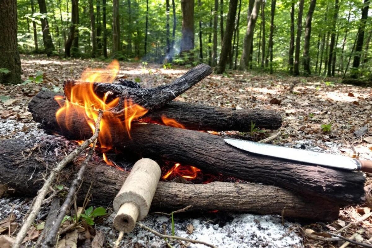 Descubra meus 4 conselhos essenciais para acender uma fogueira de madeira eficaz e bem-sucedida