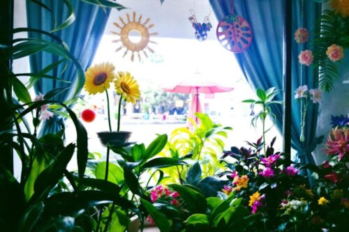 Isolamento: transformar suas janelas em modo verão, um truque enganoso que pode gerar altos gastos