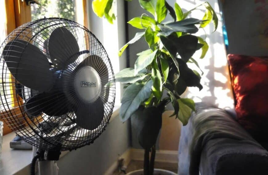 la importancia de posicionar su ventilador frente a la ventana para un enfriamiento óptimo de su interior