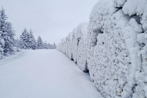 Los aspectos negativos de las cadenas para nieve a menudo omitidos por los vendedores