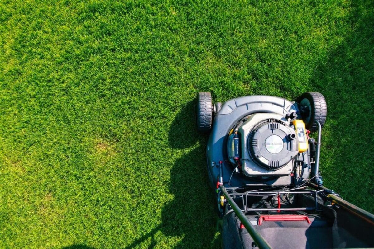 Quand débuter la tonte de sa pelouse au printemps 2025 après l&rsquo;hiver ?