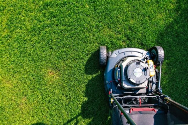 Quand débuter la tonte de sa pelouse au printemps 2025 après l&rsquo;hiver ?