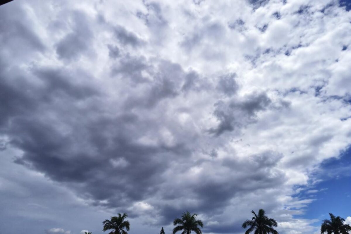 Un spécialiste révèle les indices annonciateurs pour prévoir les orages et éviter la foudre
